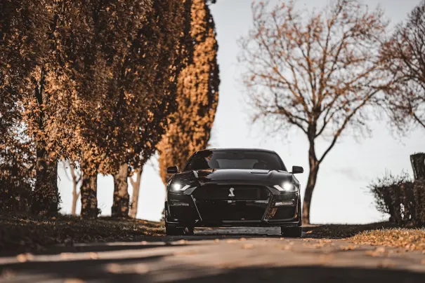 エフビーイーティー カジノ Android/iOS アプリ